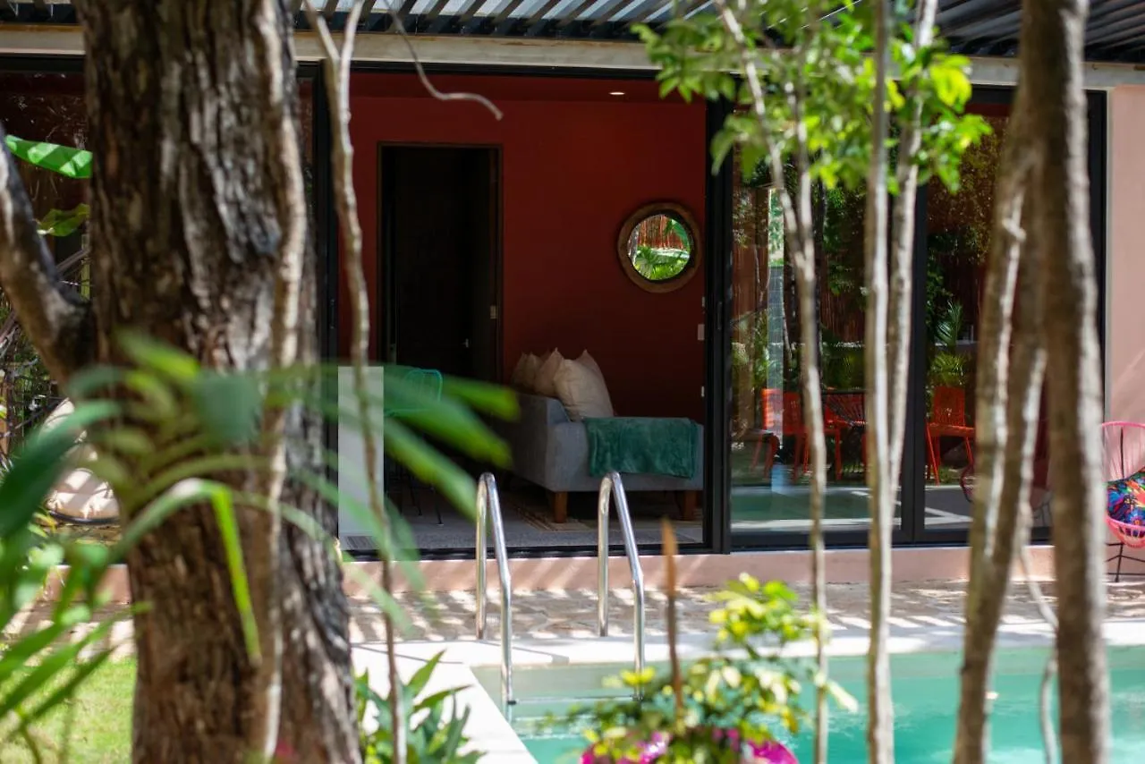 Shes Moody Tulum 3 Bed Penthouse With Yard Pools Rooftop Aircon 15 Minute Drive To The Beach Feriehus